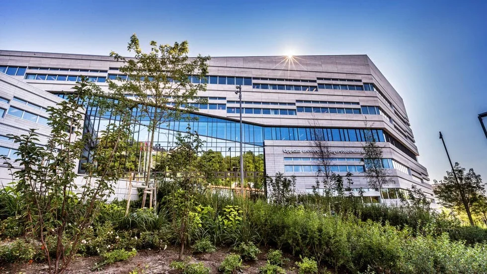 Rektors kansli. En annmälan om forskningsfusk har skickats till rektor Eva Åkesson. I aanmälan är det inte bara en profossor som får hård kritik av anmälaren utan även universitetsledningen.