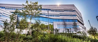 Känd professor anmäld för forskningsfusk