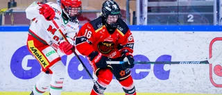 Bildspel: Allt från Luleå Hockey/MSSK:s seger