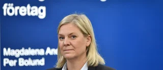 Stöd till företagare förlängs året ut
