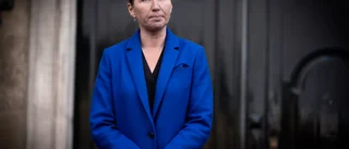 Frederiksen lägger minkansvaret på ministern