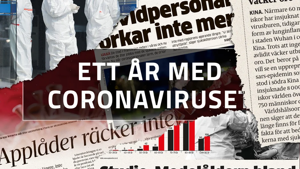 Drygt ett år har gått sedan de första coronafallen rapporterades i Sverige. 