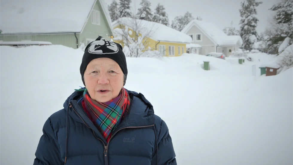 Karin Vannar, Samernas väl i Jokkmokk.