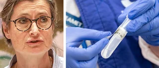 Britt Åkerlind om coronaläget: "Vi står och stampar"