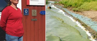 Hästbajs hotar miljön – kritik mot nytt förslag