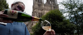 Bittert champagnekrig skuggar fransk vinskörd