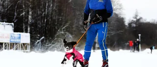 Högtryck i skidspåret i Vilsta: "Det är superbra"