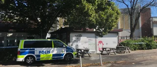 Efter analysen: Pizzeriabranden var anlagd