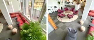 Smygtitt: Här är Trombs nya satsning