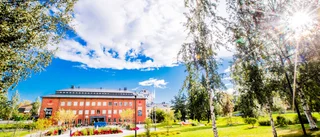 E-förslaget får ja av kommunen – militära veteraner får minnessten i parken