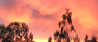 Läsarbilden: himmel en sån himmel
