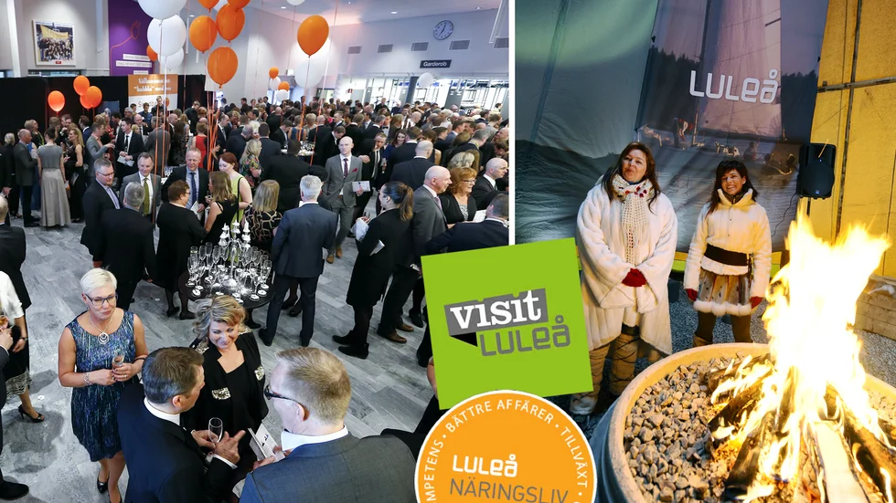 Bolagen Luleå näringsliv och Visit Luleå skulle fusioneras in i Luleå Business Region. Men beslutet i fullmäktige följdes inte.