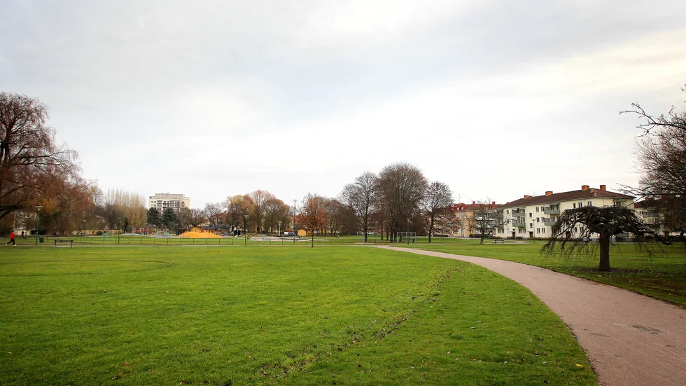 Två unga män åtalas för att ha våldtagit en 15-årig flicka och en 18-årig kvinna i Vasaparken förra sommaren.
