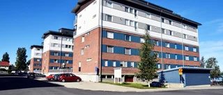 Vägglössen härjar i Lulebos lägeheter