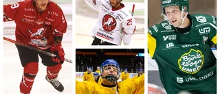 Hästen lyckades med konststycket – de är nyckelspelare