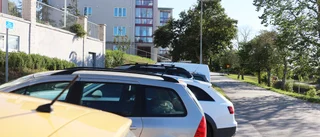 Tvist om mystiskt försvunnet träd