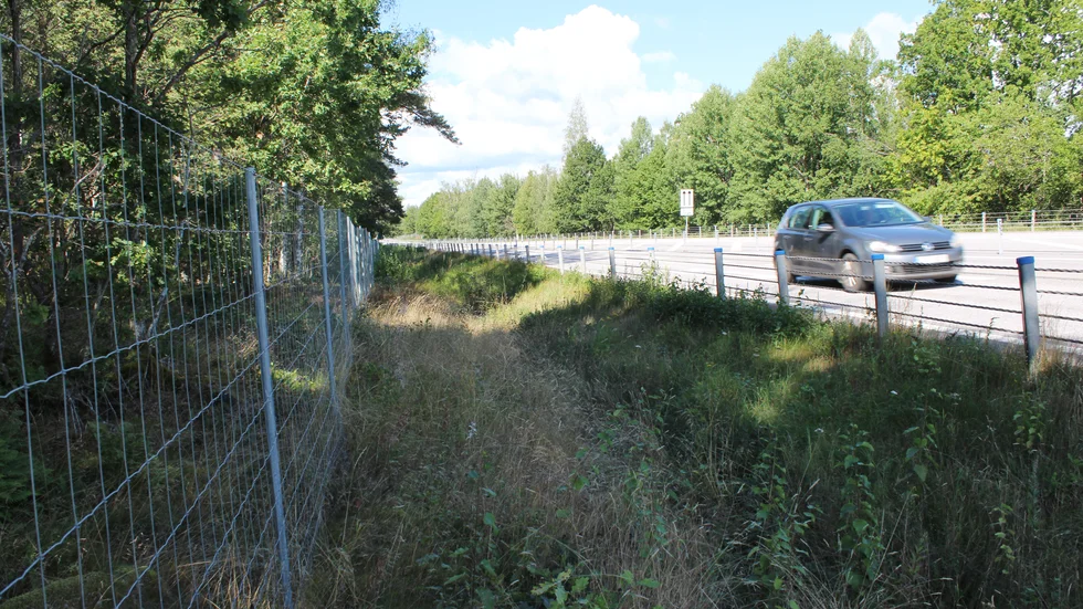 Det dröjer innan det blir mer viltstängsel längs E22 i kommunen. Bilden är tagen vid Almvik.