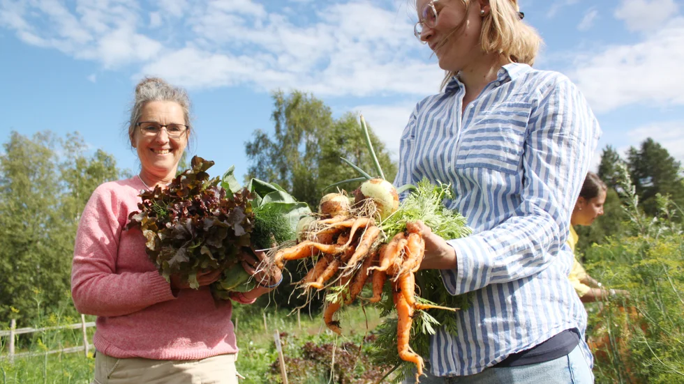 Marie Gustafsson och Pauline Brantestad är två av andelsodlarna i Göljeryd. Skörden för dagen visar att man kommer långt med hästskit, gräsklipp och kompostlimpor.
