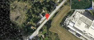 Älg på vägen på väg 230