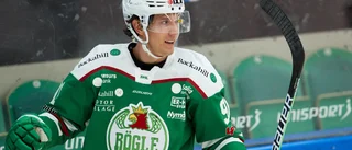 Rögle lånar in ersättare för Tambellini