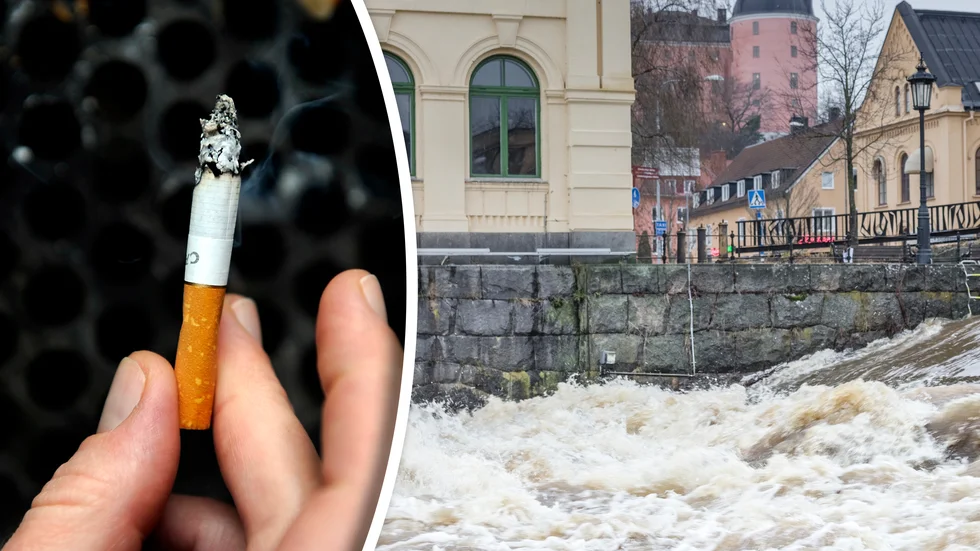 3 598 cigarettfimpar hittades i Fyrisån och tobaksrelaterade artiklar stod för 48 procent av de totalt 9 015 så kallade "skräpartiklarna" som hittades i Fyrisån under tio veckor i somras.