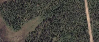 Ny ägare till skogsmarken på Gelgo 1 i Arjeplog