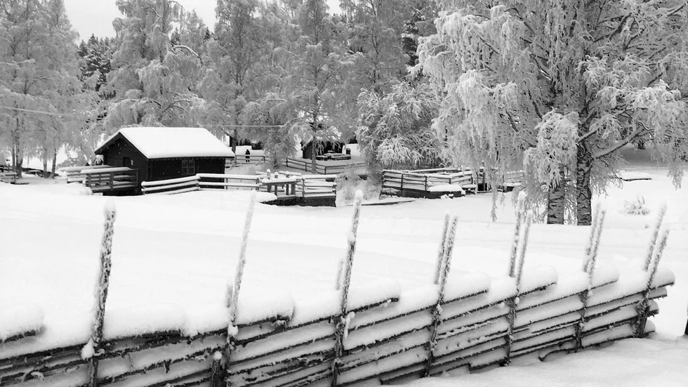 Grafiskt vintervackert på liden i Svensbyn.