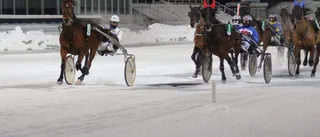 Hemmatränarens nyförvärv imponerade på Bodentravet