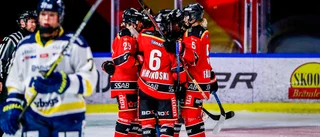 Luleå Hockey/MSSK friska – spelar match i helgen