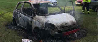 Tjuven stal mannens bil – och hans papegoja