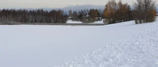Läsarbilden                    
