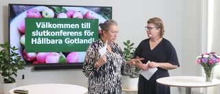 Hållbara Gotland: 100 miljoner senare