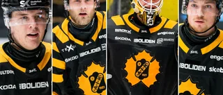 Genomgång: Här är spelarna med bäst statistik i AIK