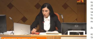 "Nu hörni ska vi rösta igen", sa Sayeler