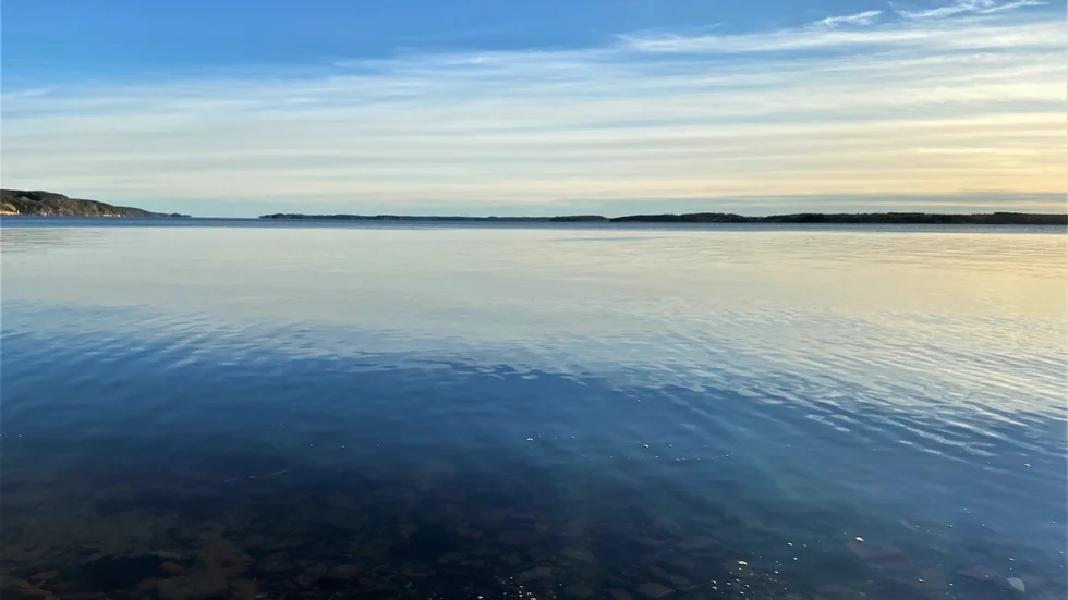 Bråviken från Kolmårdssidan.