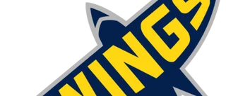 Wings-målvakten kallas upp i SHL