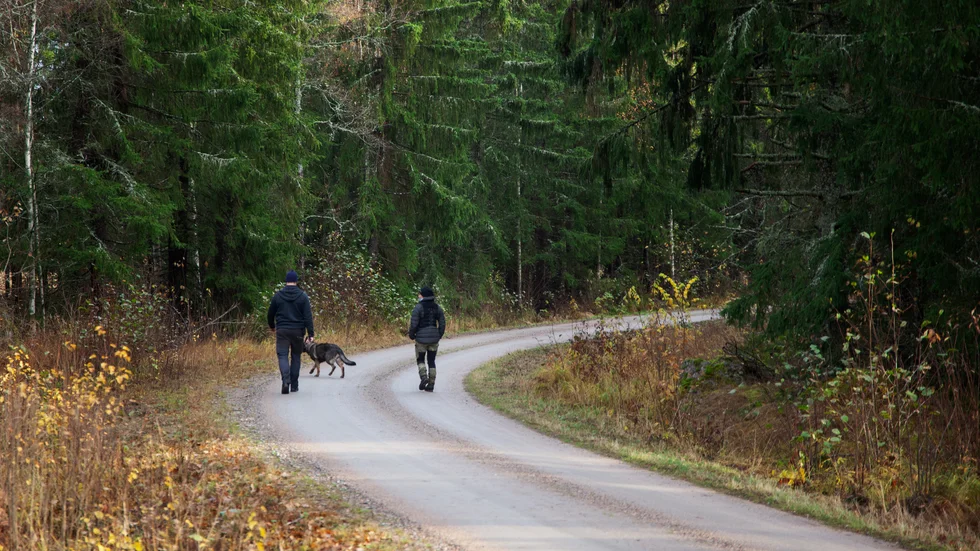 Polisen var på tisdagen på plats för att söka av området med hund.