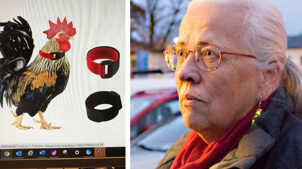 Tupphalsbandet, som ska tysta galande fjäderfän, ska bort från Amazons säljsida tycker Ami Rooth från Julita. "Det är allvarligt eftersom de absolut inte får sälja det här."