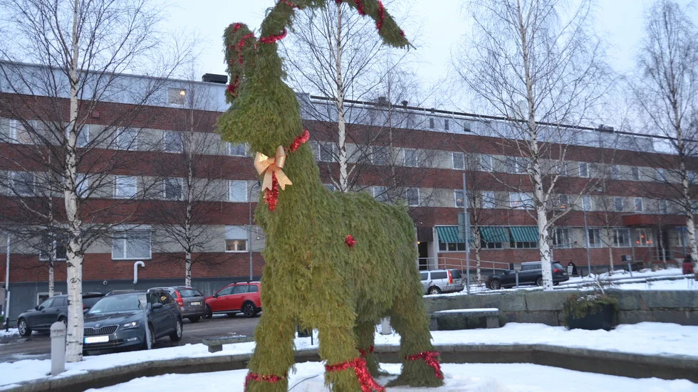 Maskinförare duktig på snickeri och parkarbetare har skapat julbocken.