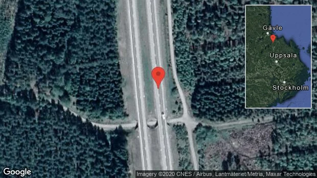 Rådjur på vägen på E4