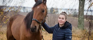 Ny pallpats för Esprit d Ìnverne