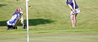 Christian Dahlgren: Bättre golf i Linköping