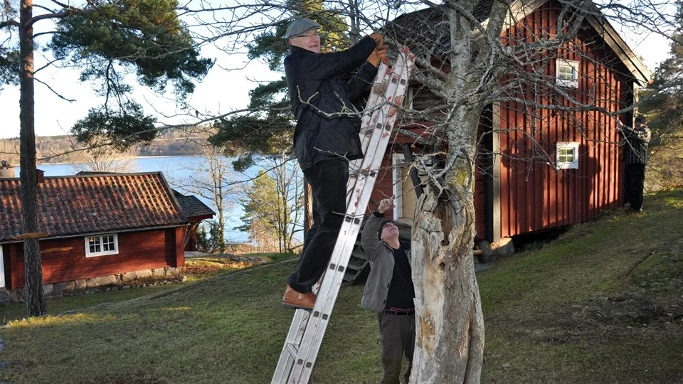 Pär-Magnus Jonsson håller på att hänga upp ljusdekorationer på hembygdsgården och assisteras av Lars-Ola Nysten.