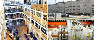 Företagen som betalar mest