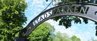 Därför greps mannen i Stadsparken