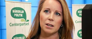 Alliansen har klarat värre frågor