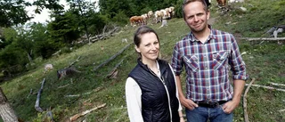 Lokalt företag blev årets företagare i Östergötland