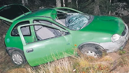 Bilens vindruta trycktes in av älgkroppen.