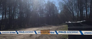 Misstänkt för våldtäkt släpptes