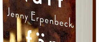 En perfekt roman om Europas 1900-tal
